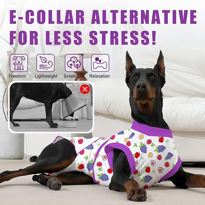 Recovery Suit for Dogs After Surgery, Professional Dog Surgical Suit for Female Spay, Male Neuter, E-Collar & Cone Alternative Dog Onesie for Abdominal Wounds Skin Disease, Purple, M