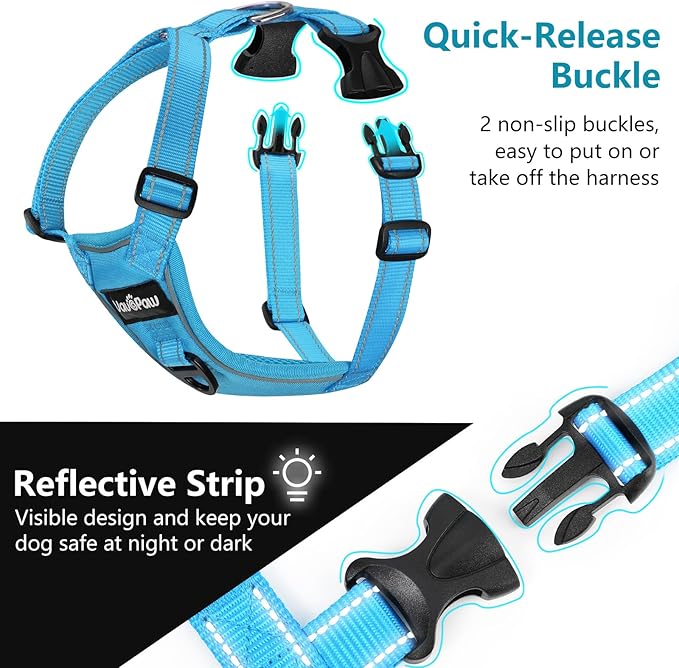 Dog Seat Belt Harness for Car, Dog Car Harness Adjustable Mesh Breathable & Dogs Seatbelt Safety Tether with Elastic Bungee for Small Medium Large Pets(Blue, S)