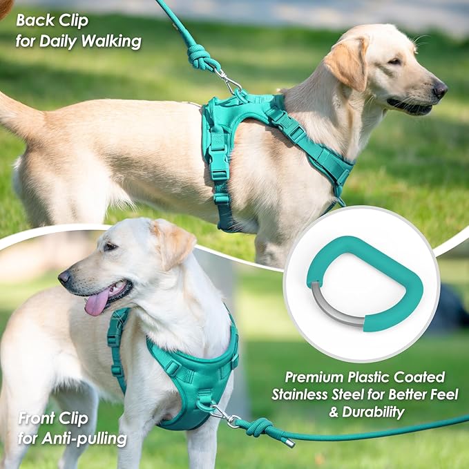 No Pull Dog Harness, Puppy Vest with Front Clip for Small Medium Large Sized Dog(MARRS Green,XL)