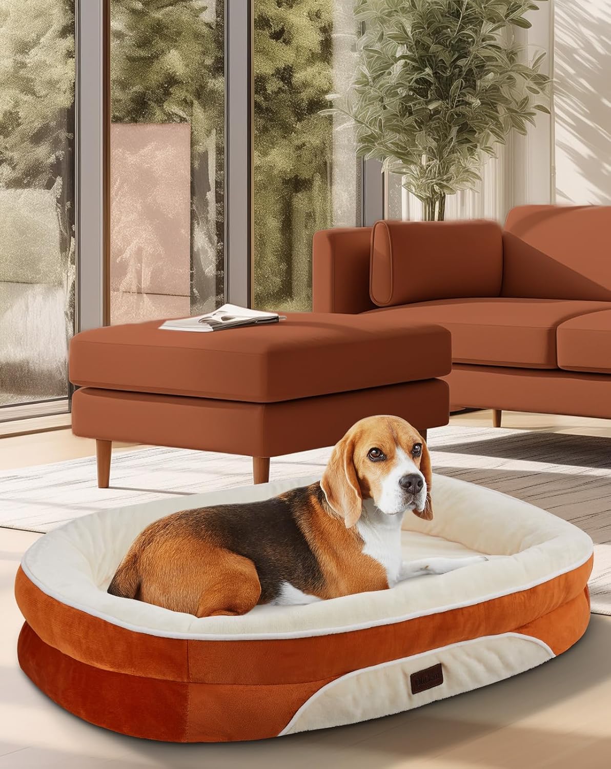 OhGeni Orthopedic Dog Couch Pet Sofa Large Sized Cat Beds with Comfort Foam Support, Soft Comfortable Fabric, Machine Washable Waterproof Removable Cover, 35-Inch (Orange)