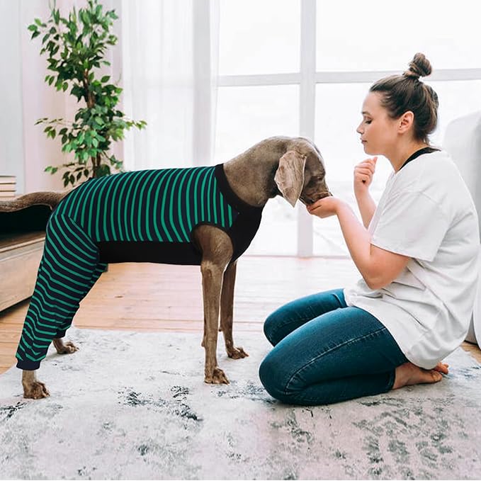 Kuoser Dog Recovery Suit, Anti Licking Dogs Rear Leg Sleeve, Abdominal Dog Surgical Suit with Pants Cover Protect Wounds, Dogs Elbow Protector Soft Pet Surgery Onesie Cone Alternative, Green 3XL