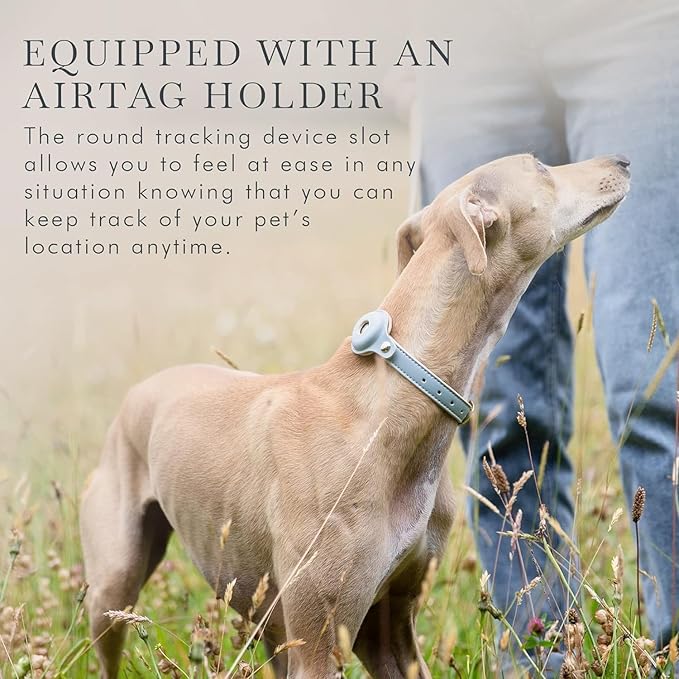 Cupertino Dog Collars, Harnesses & Leashes Made from Vegan Leather with Dog Tracker Device Holder Adjustable Dog Collar - Color Blue, Large