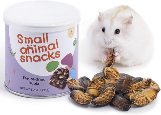 Niteangel Small Animal Snack & Treats - Small Critter Natural Treat for Dwarf Syrian Hamsters Gerbils Mice Sugar Glider Hedgehogs Chickens Birds (Freeze-Dried Dubia)