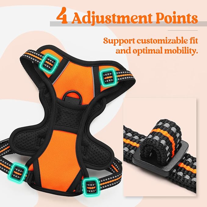 rabbitgoo Dog Harness No Pull with 2 Leash Clips, Adjustable Soft Padded, Reflective Oxford No Choke Pet Vest with Easy Control Handle for Puppy, Orange,XS