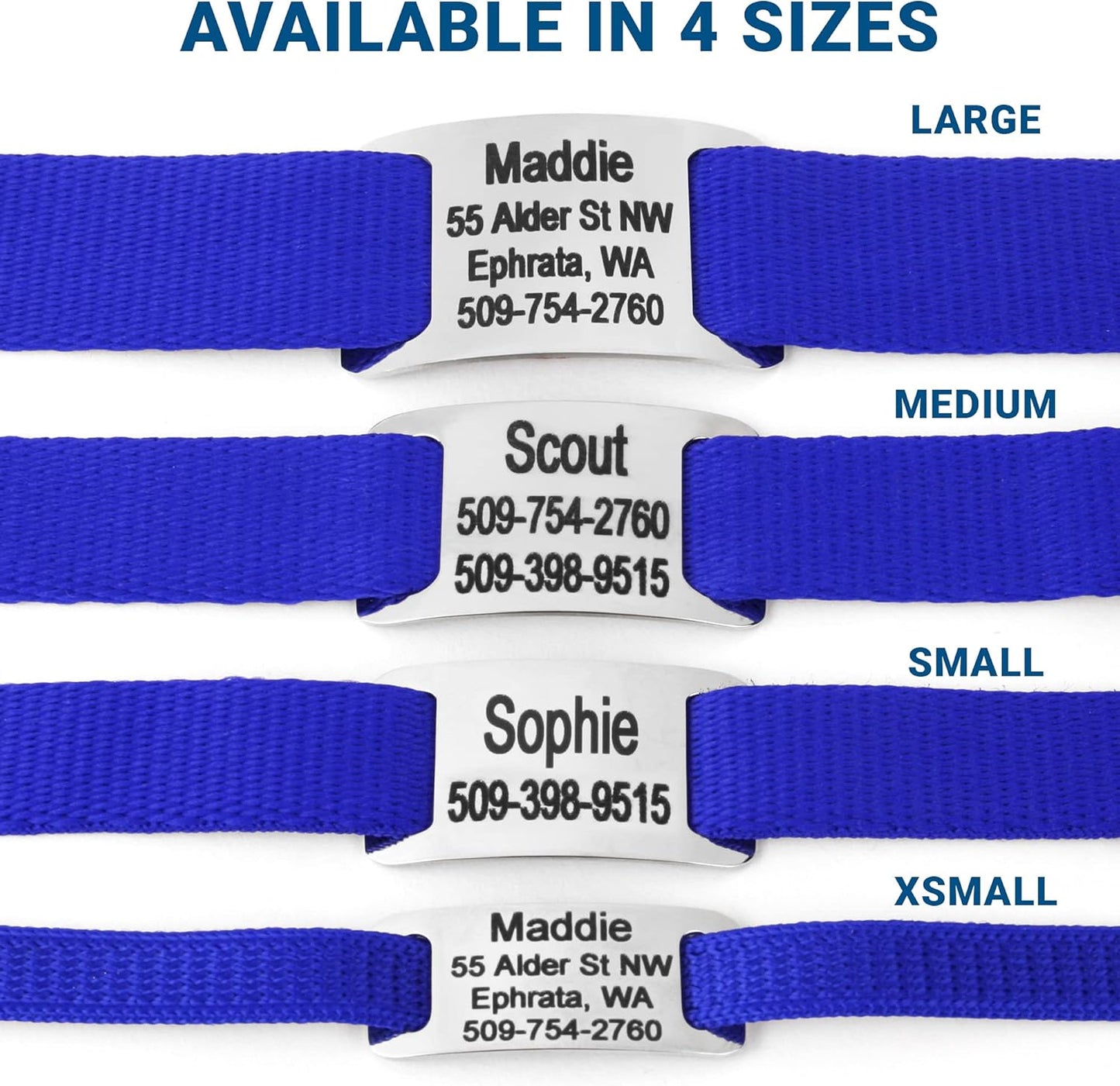 GoTags Personalized Dog Collar with Nameplate, Adjustable Dog Collar with Custom Engraved Slide On Pet ID Tag in Stainless Steel, Silent, No Noise Dog Tag for Large Medium and Small (Blue, X-Small)