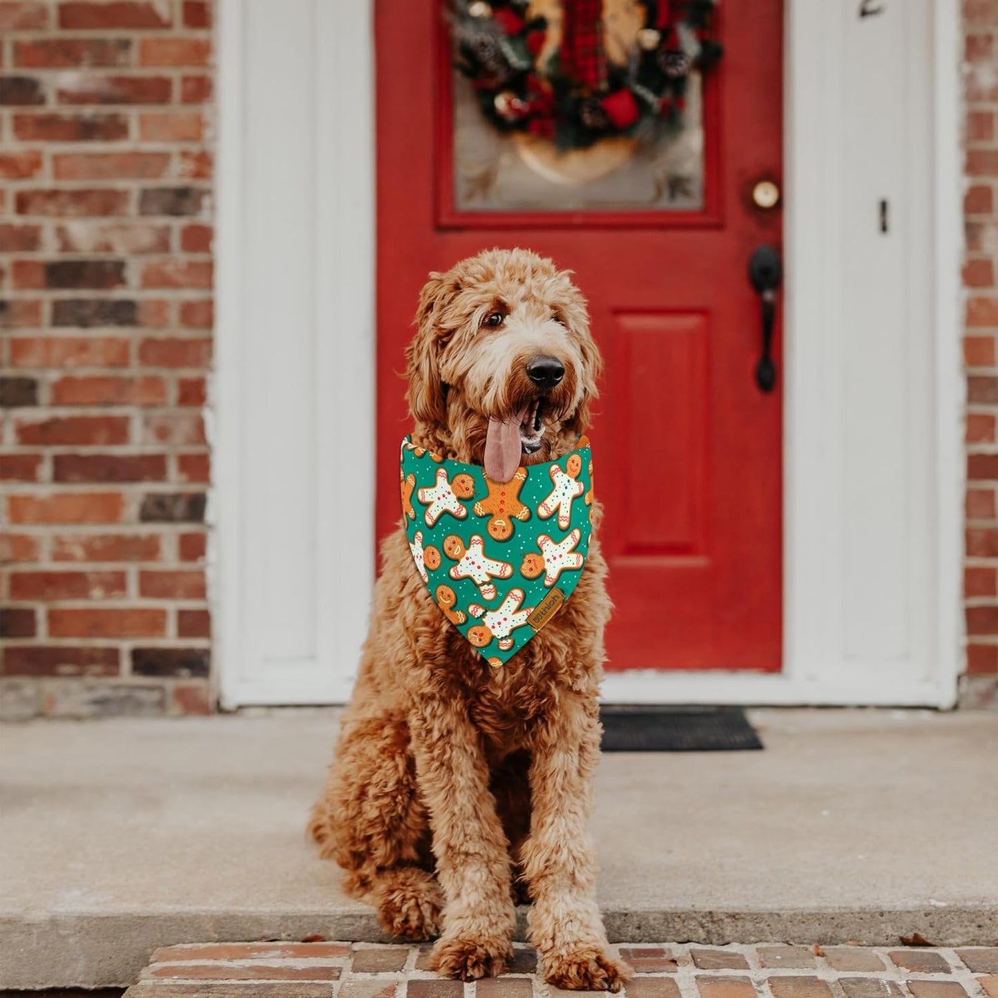 Christmas Dog Bandanas - 2 Pack Reversible Gingerbread Man Dog Scarf for Boy & Girl, Premium Durable Fabric, Festival Dog Bib, Holiday Bandana for Large & Extra Large Dogs (X-Large)