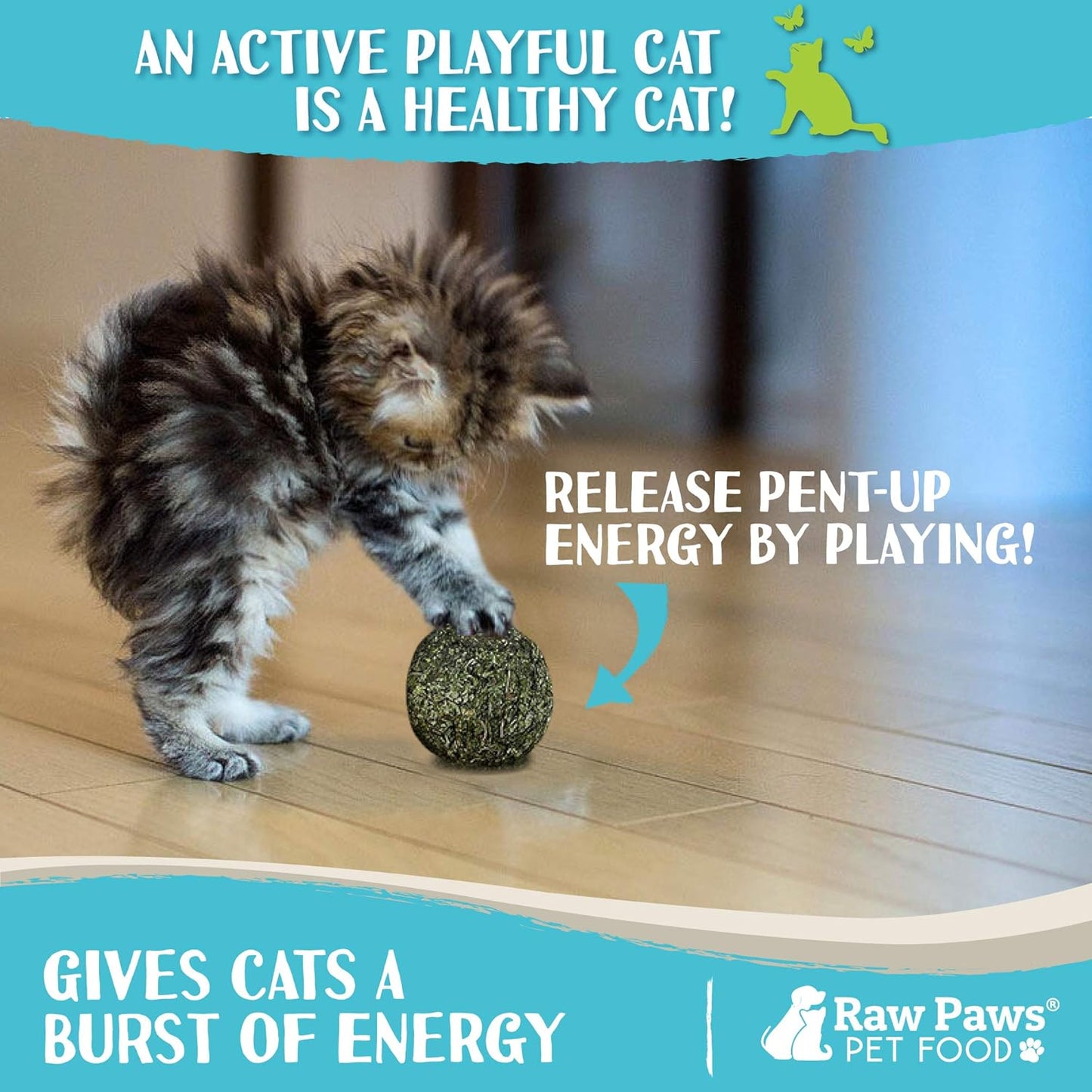 Raw Paws Catnip Balls for Cats, (6-Count) - Interactive Cat Toy for Indoor Cats - Cat Nip Licking Balls