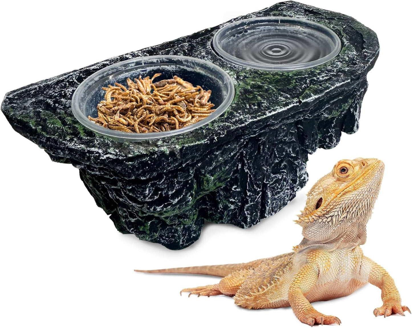 PINVNBY Reptile Feeding Ledge Double Reptile Water Bowl and Food Dish Crested Gecko Feeding Ledge with Suction Cup for Bearded Dragon Lizard Chameleon Snake and Other Reptiles