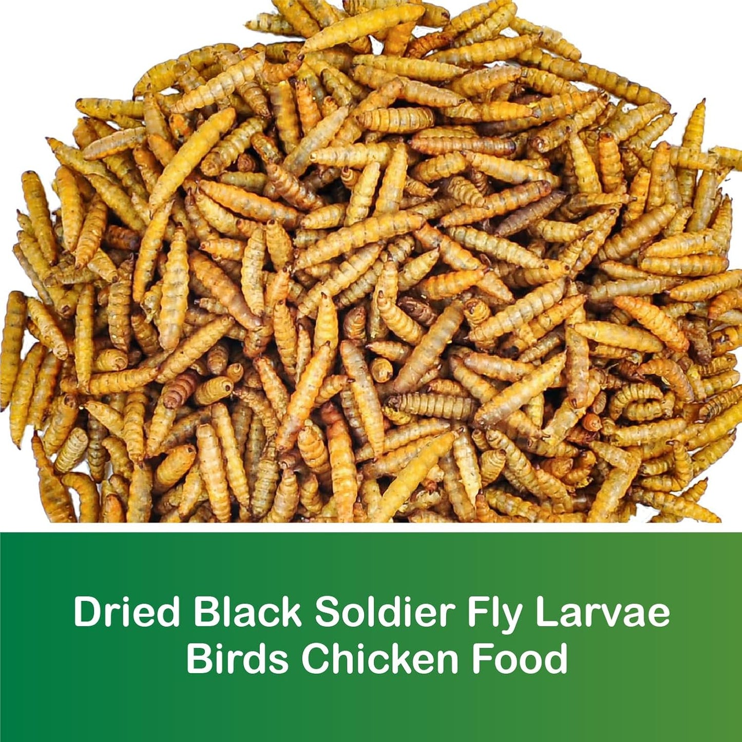 Ecoproento Dried Black Soldier Fly Larvae 10LB - High Calcium Chicken Feed - 85X More Calcium, High Protein Non-GMO Mealworms for Wild Birds, Ducks, Turkeys, Quails, Turtles, Chickens Treats