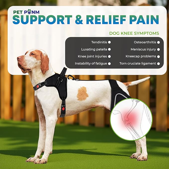 Dog ACL Knee Brace for Back Left Leg - with Integrated Harness - for Cruciate Ligament Injuries, Patellar Luxation, Post-Surgery Recovery. Durable, Breathable Material, Eases Pain - (Small)