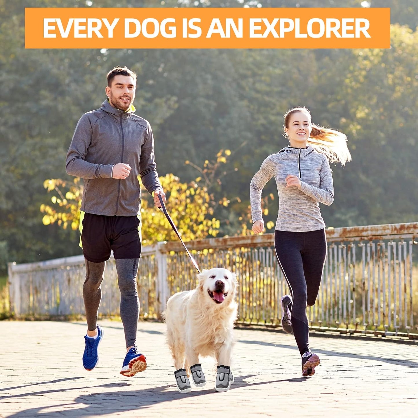 Hcpet Dog Boots for Large Dogs, Dog Shoes for Hot Pavement Winter Snow, Paw Protector Dog Booties Designed for Comfort and Breathability, Outdoor Booties for Small Medium Dogs for Hiking Grey Size 2