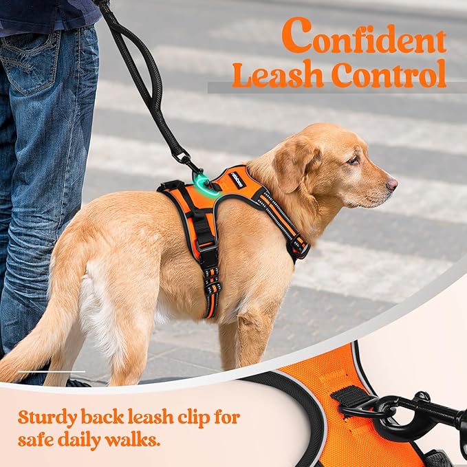 rabbitgoo Dog Harness No Pull with 2 Leash Clips, Adjustable Soft Padded, Reflective Oxford No Choke Pet Vest with Easy Control Handle for Small Dogs,Orange,S
