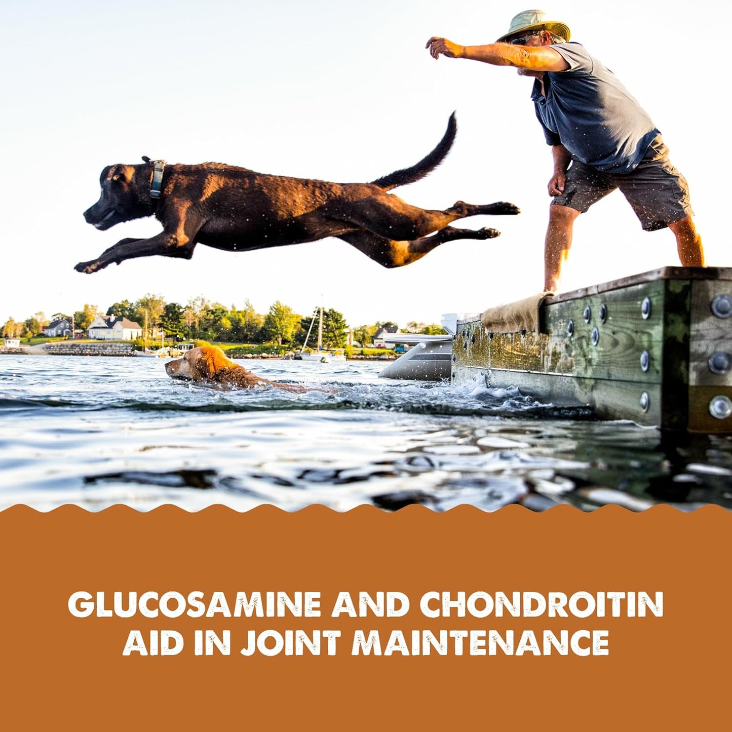 Grizzly Pet Products Joint Aid Liquid Hip and Joint Health Supplement Product for Dogs and Cats, 32 Ounce