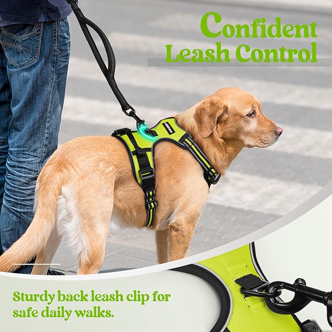 rabbitgoo Dog Harness No Pull with 2 Leash Clips, Adjustable Soft Padded, Reflective Oxford No Choke Pet Vest with Easy Control Handle for Medium Sized Dogs, Green, M