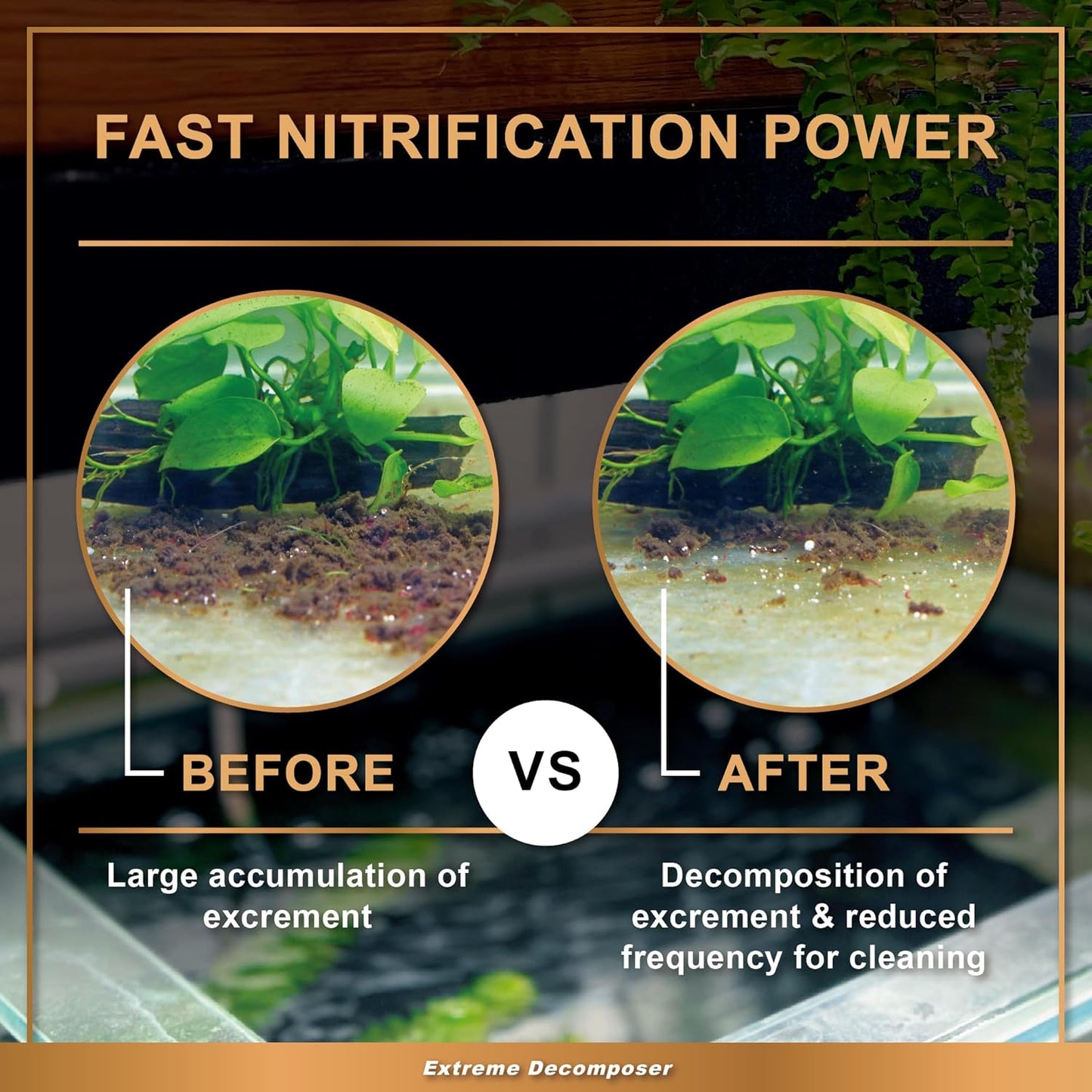 AZOOPLUS BIO XD Extreme Decomposer Nitrifying Bacteria for Freshwater and Saltwater Fish Tank 4.05 Ounces