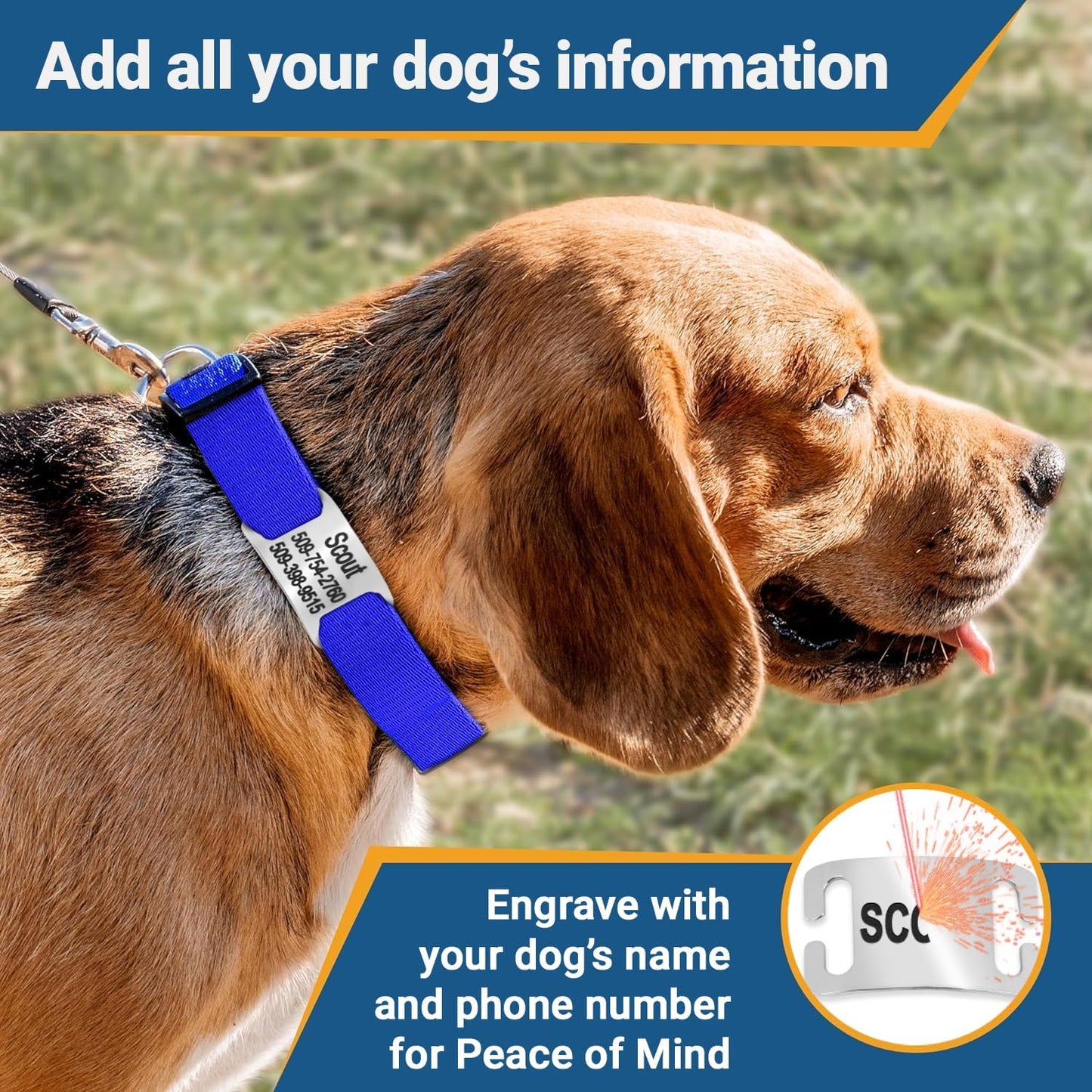 GoTags Personalized Dog Collar with Nameplate, Adjustable Dog Collar with Custom Engraved Slide On Pet ID Tag in Stainless Steel, Silent, No Noise Dog Tag for Large Medium and Small (Red, Large)