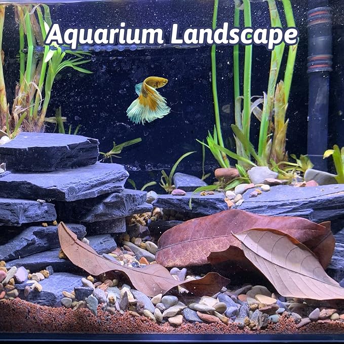 PINVNBY Natural Slate Rock 5lb PH Neutral Aquarium Rocks Aquariums Stones for Aquascaping, Landscaping Model, Reptile & Amphibian Enclosures, Tank Decoration
