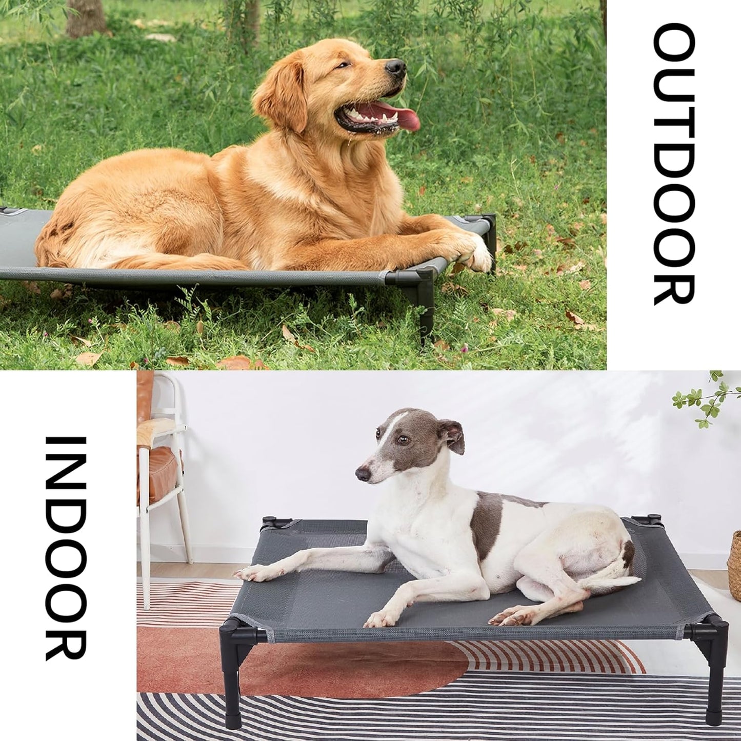 pettycare Elevated Outdoor Dog Bed - Raised Cot for Large Dogs, Heavy Duty Pet Cots Waterproof, Cooling, Washable Breathable Teslin Mesh, Durable, Non Slip, 42 Inches, Grey