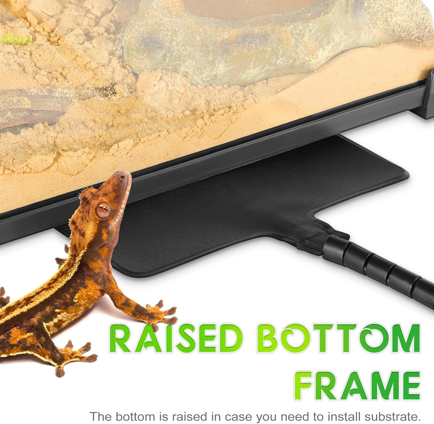 Mini Reptile Glass Terrarium 12"x12"x12" Durable Reptile Habitat Tank with Heat Resistant Aluminum Alloy Frame, Double Swinging Doors with no Jam by Sand and Other Debris