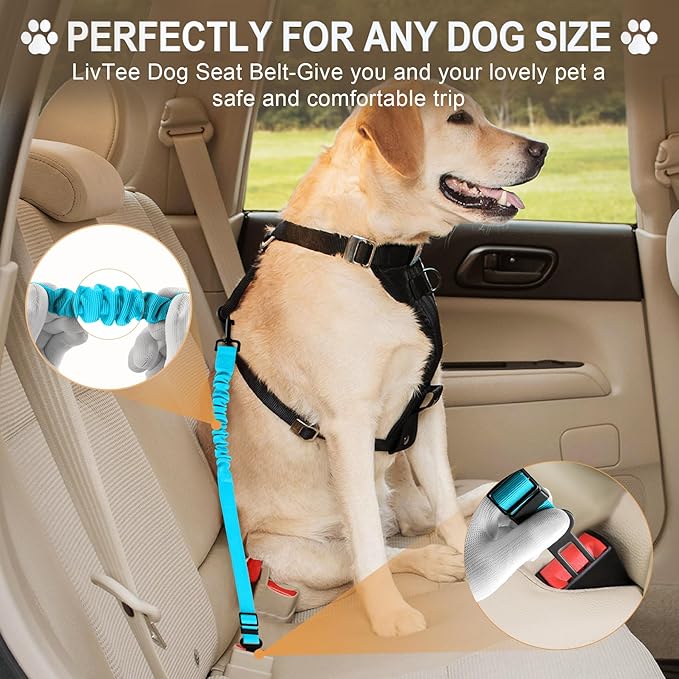 LivTee Dog Seat Belt for Car, Retractable Pet Safety Harness, Adjustable Nylon Dog Seatbelt Leash, Comfortable Dog Accessories for Vehicles (Teal-2PCS)