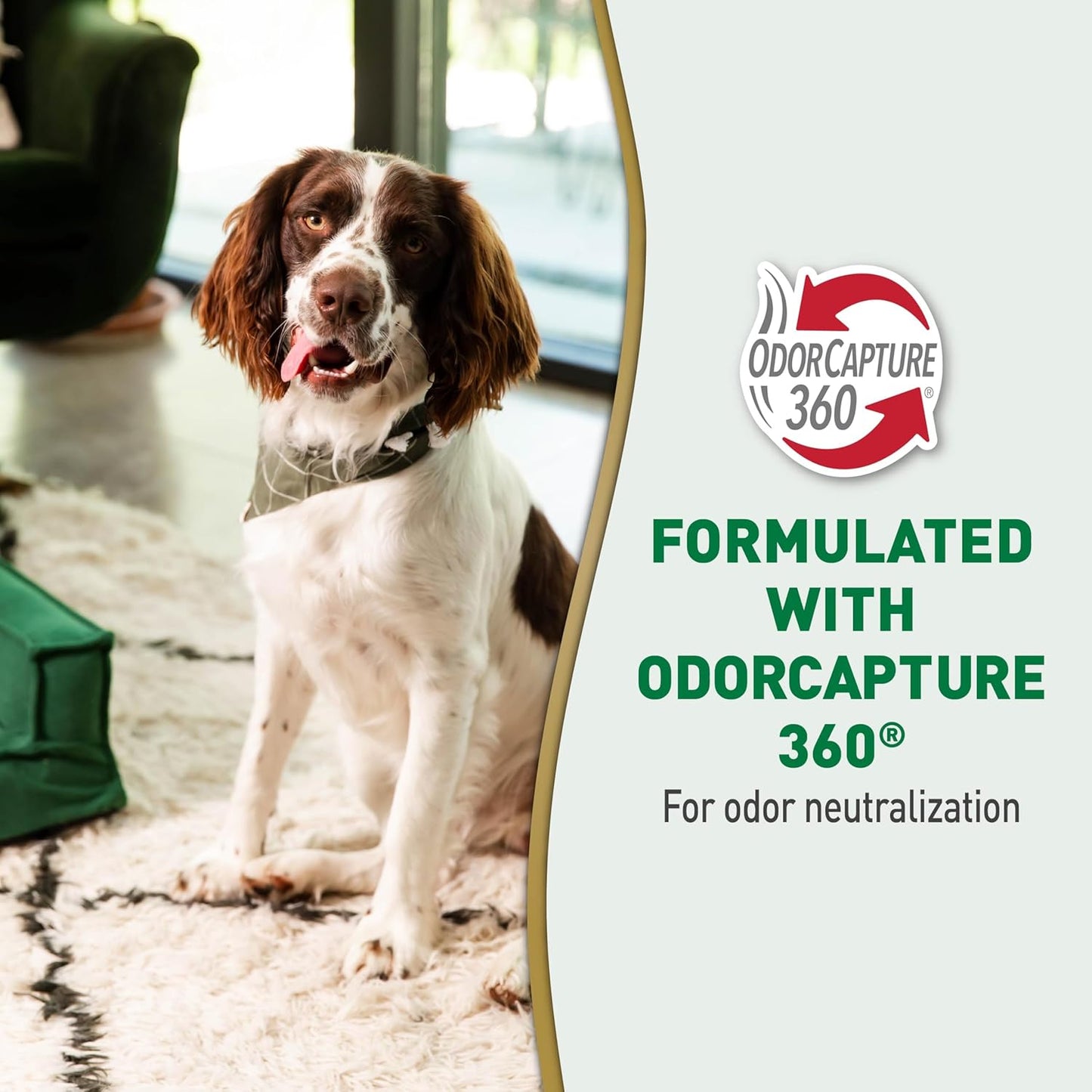 Nature's Miracle Urine Destroyer Plus for Dogs with Flip & Go Sprayer, 64 Ounces, Enzymatic Formula for Dogs Powers Out Tough Dog Urine Messes and Yellow, Sticky Residue