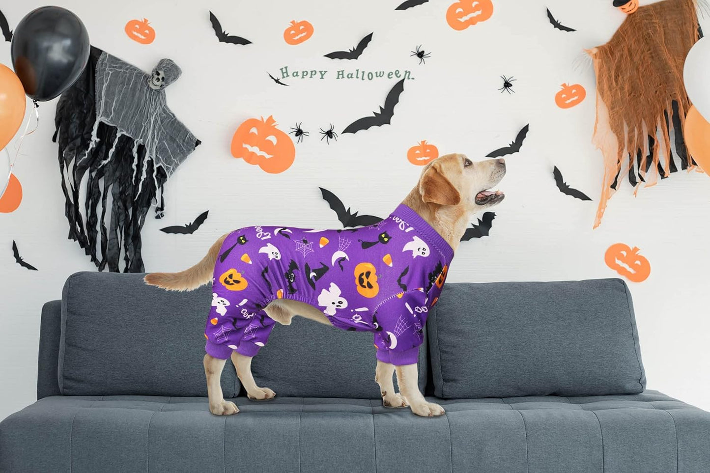 Dog Halloween Pajamas Dog Costumes Pjs Stretchy Funny Pet Costumes Clothes Outfit Pajamas for Medium Dogs(M)
