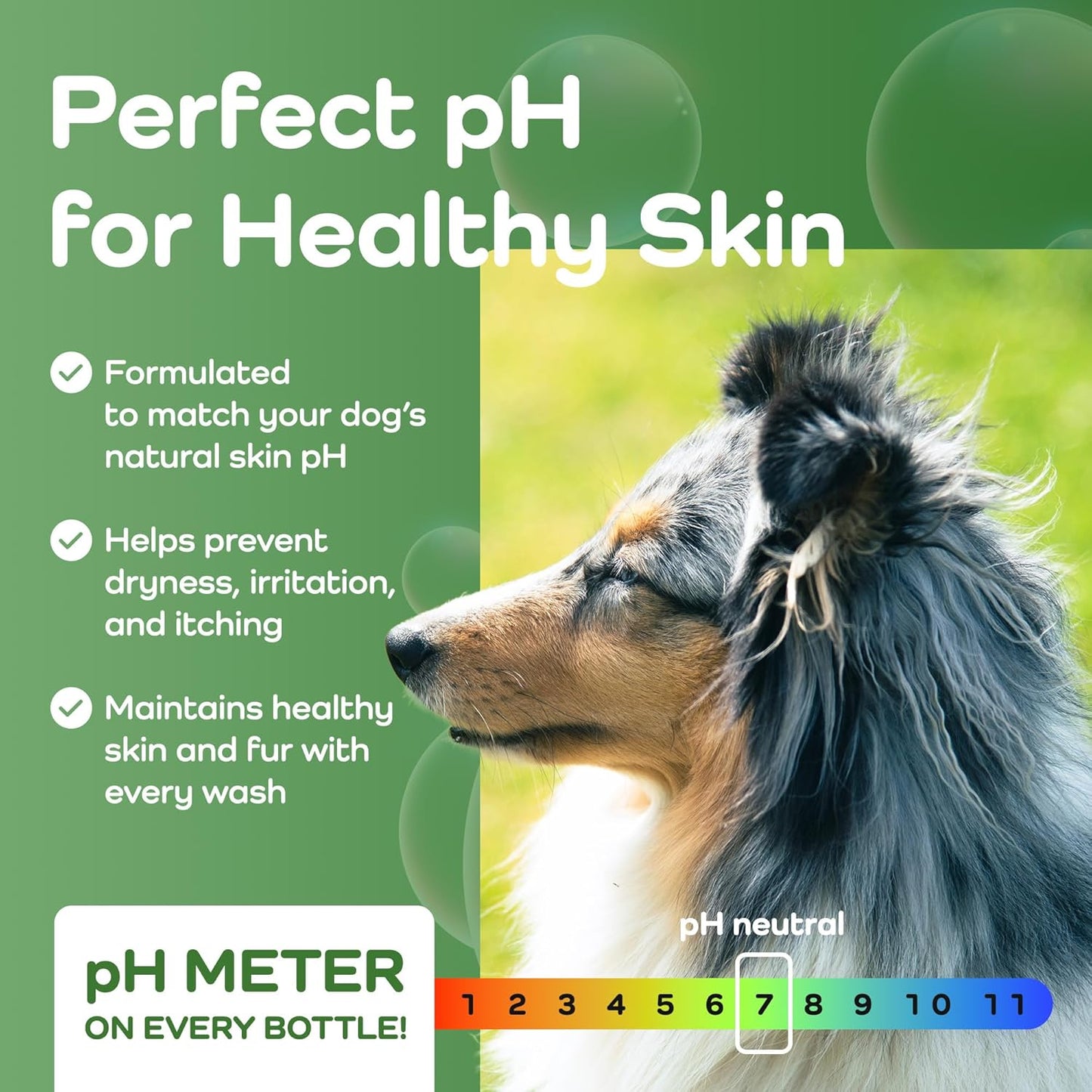 Sensitive Care -Tangle-Free-Silky Shine Softening and detangling Shampoo, Delicate Coat Clean & Odor Control Shampoo – Advanced Shine Formula for Dogs (Border Collie, 16 Fluid Ounces)