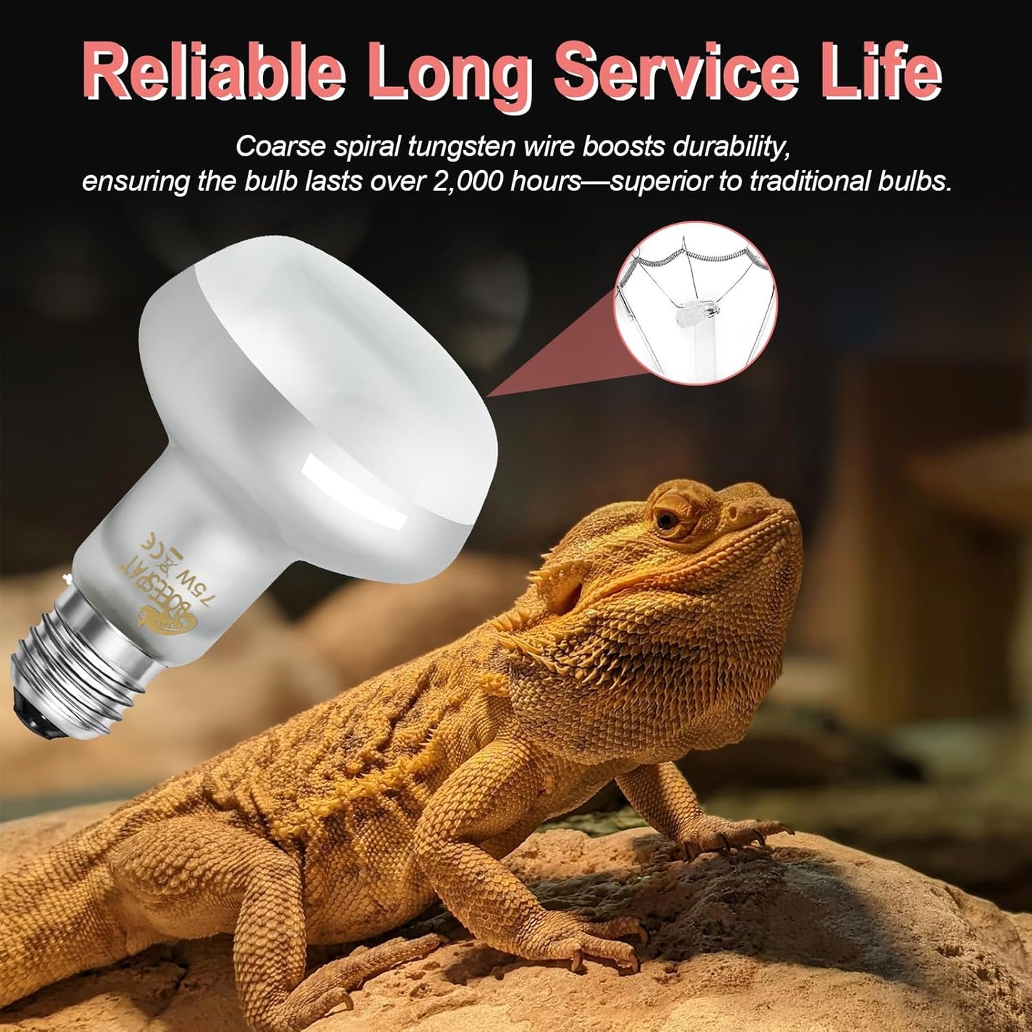 Intense 100W UVA Spotlight Heat Lamp Bulbs for Reptile Basking and Terrariums - Ideal for Desert-Dwelling Reptiles Like Bearded Dragons, Geckos, Iguanas, Lizards, Amphibians (Pack of 2)