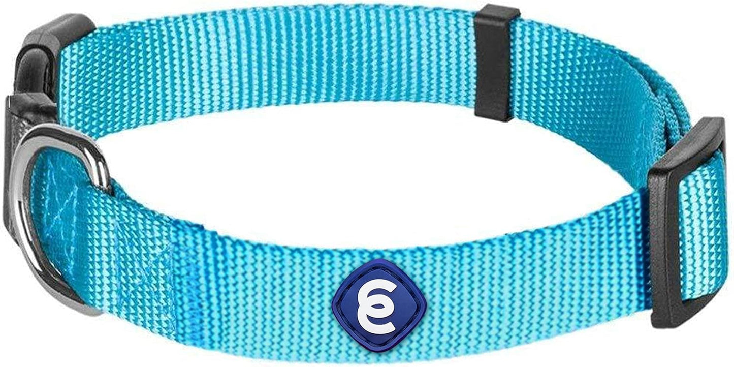Blueberry Pet Essentials Large Dog Collar in Turquoise | Adjustable & Eco-Friendly Durable Nylon Strap | Classic Collar for Large Dogs, Boy & Girl Pets