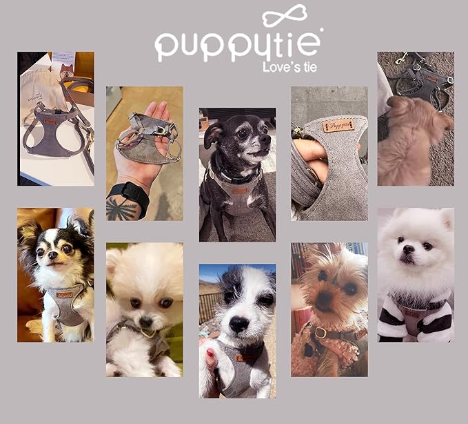 Puppytie No Pull XXS Puppy Harness with Multifunction Dog Leash,Soft Adjustable No Choke Escape Proof Pet Harness Vest,Silver Grey,XXS