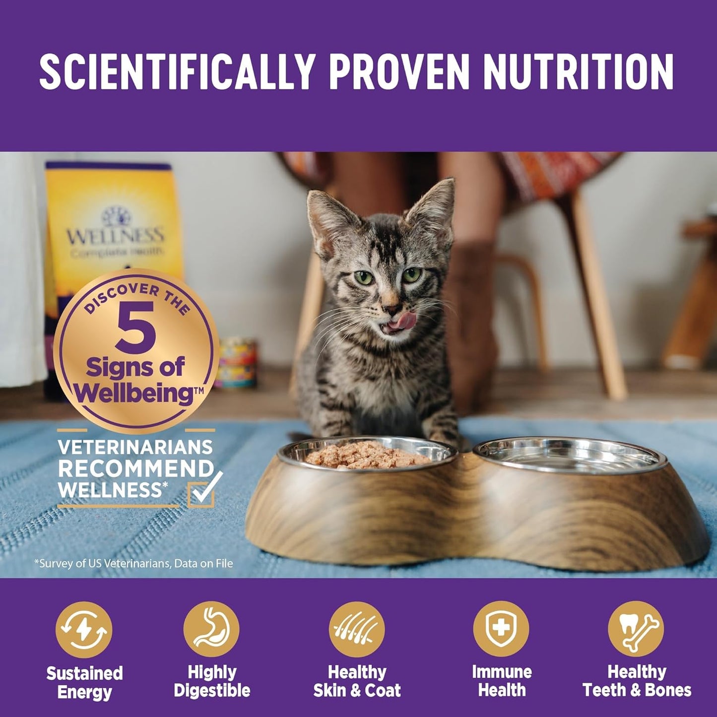 Wellness Complete Health Pate Adult Wet Cat Food, Natural, Protein-Rich, Grain-Free, 3 Ounce, 24 Pack, (Seafood Favorites Variety Pack)