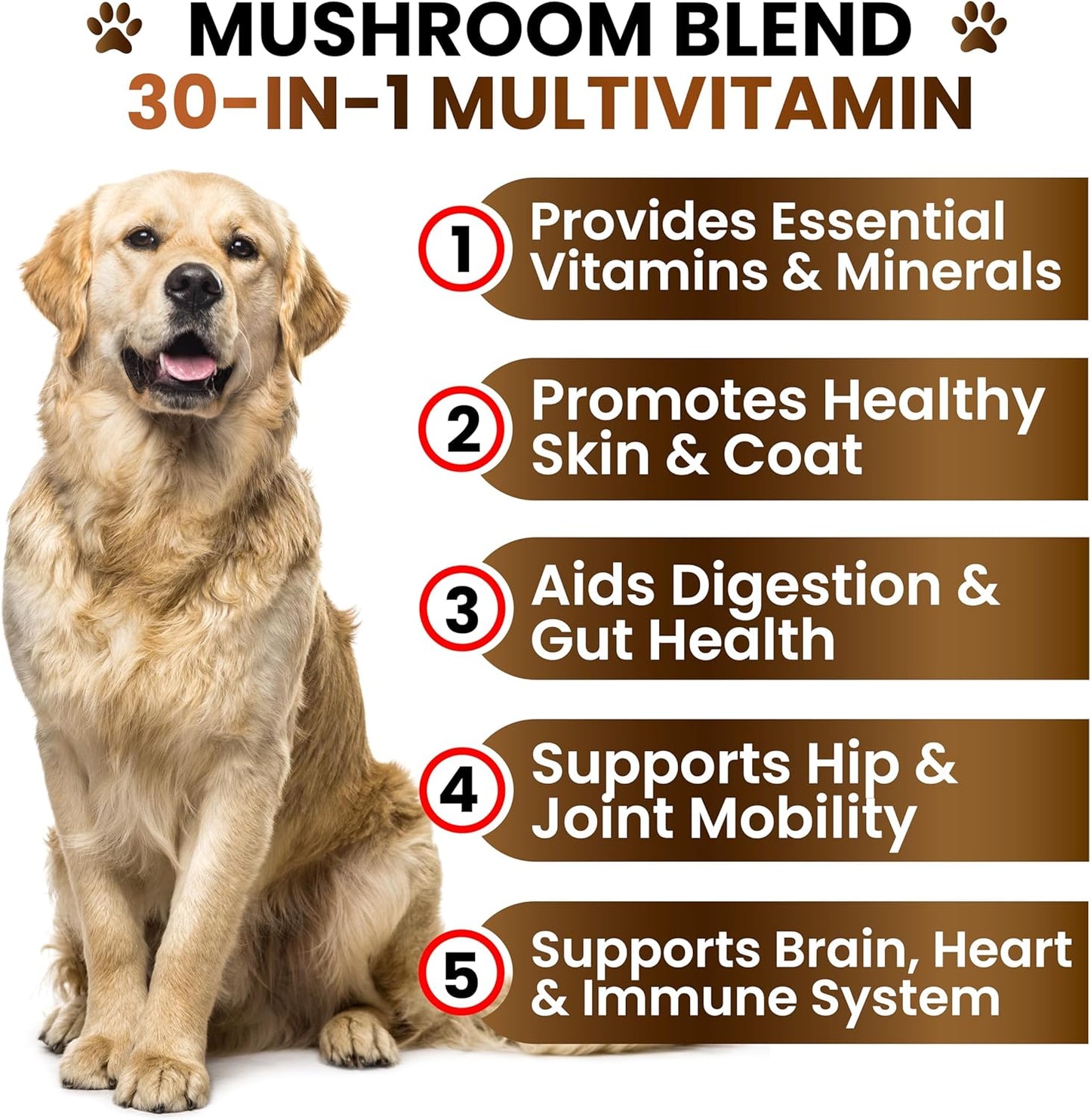 Mushroom Supplement for Dogs - 170 Chews - Mushrooms for Dogs - Turkey Tail, Reishi, Lion’s Mane, Glucosamine Multivitamin - Immune Booster, Gut, Hip & Joint Health Support Vitamins, Energy & Skin