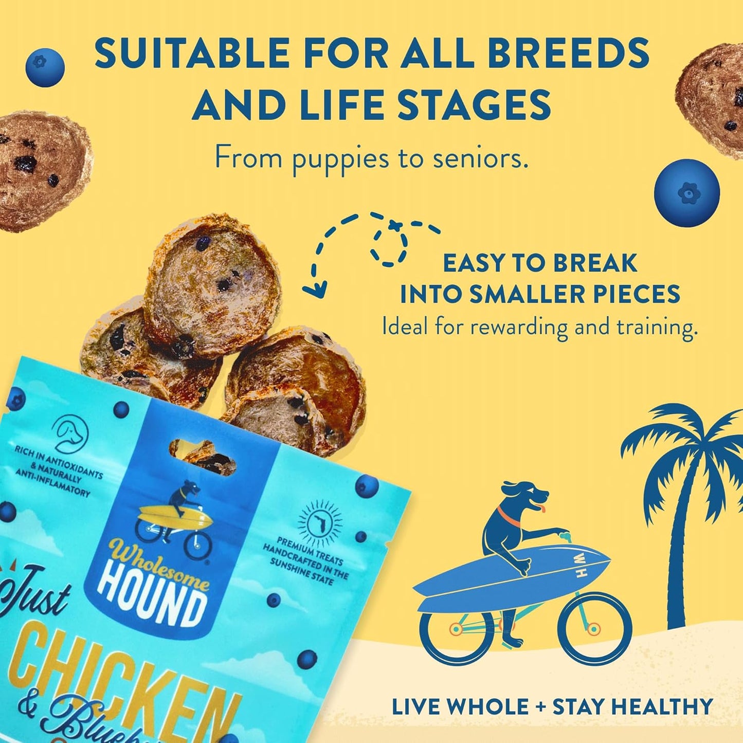 Chicken & Blueberry Chips – 2 Simple Ingredient Dog Treats, All Natural & Healthy Training Snacks for Small, Medium & Large Breeds, Puppies – High Protein, Made in USA, 7oz