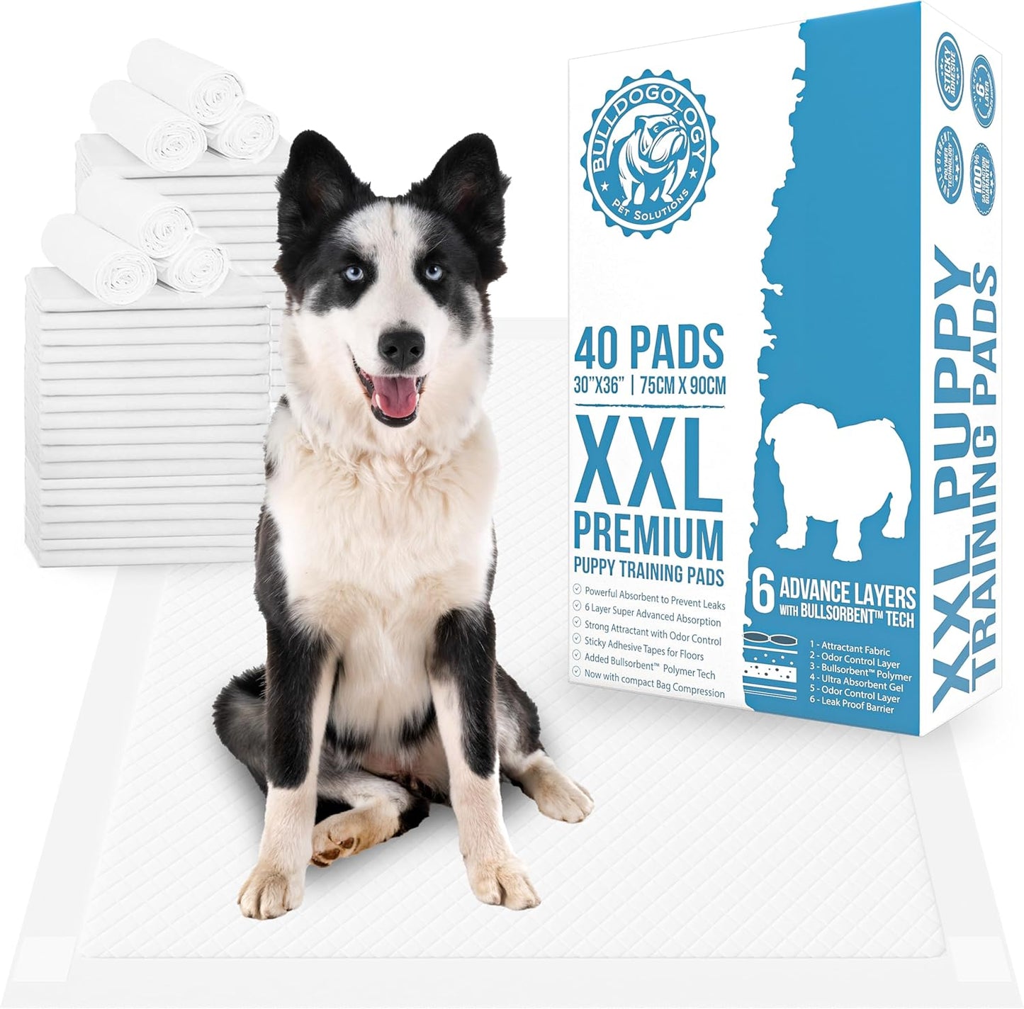 Bulldogology Premium XXL Puppy Pads with Adhesive Tabs - Dog Pads Extra Large (30x36) - Leak Proof Dog Pee Pads Extra Large - Ultra Absorbing Extra Large Puppy Pads (40-Count, White)
