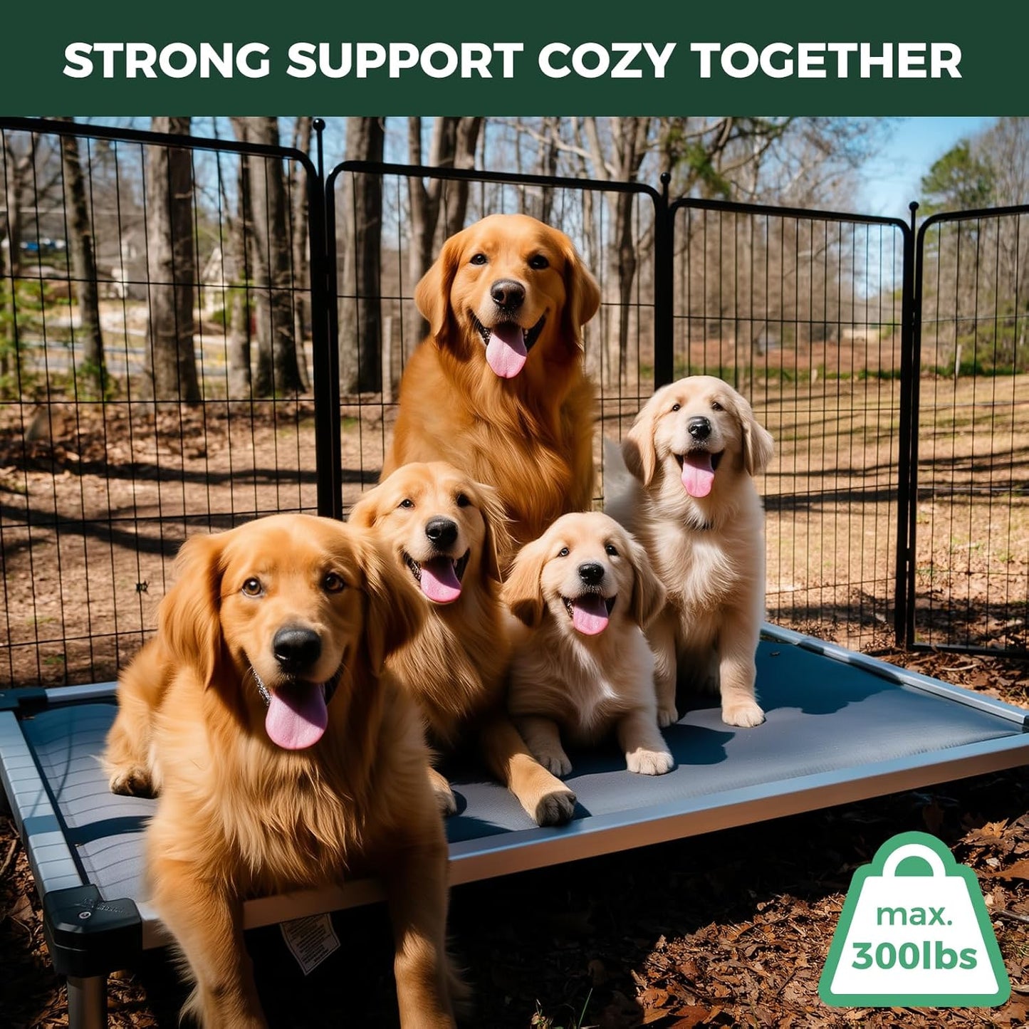 FXW TitanNest Chew-Proof Elevated Dog Bed, Raised Cot for Indoor/Outdoor/Camping Use, Durable & Washable Padded Pet Bed for Extra-Large Dogs, 56.0" L x 31.0" W x 7.3" H, Gray