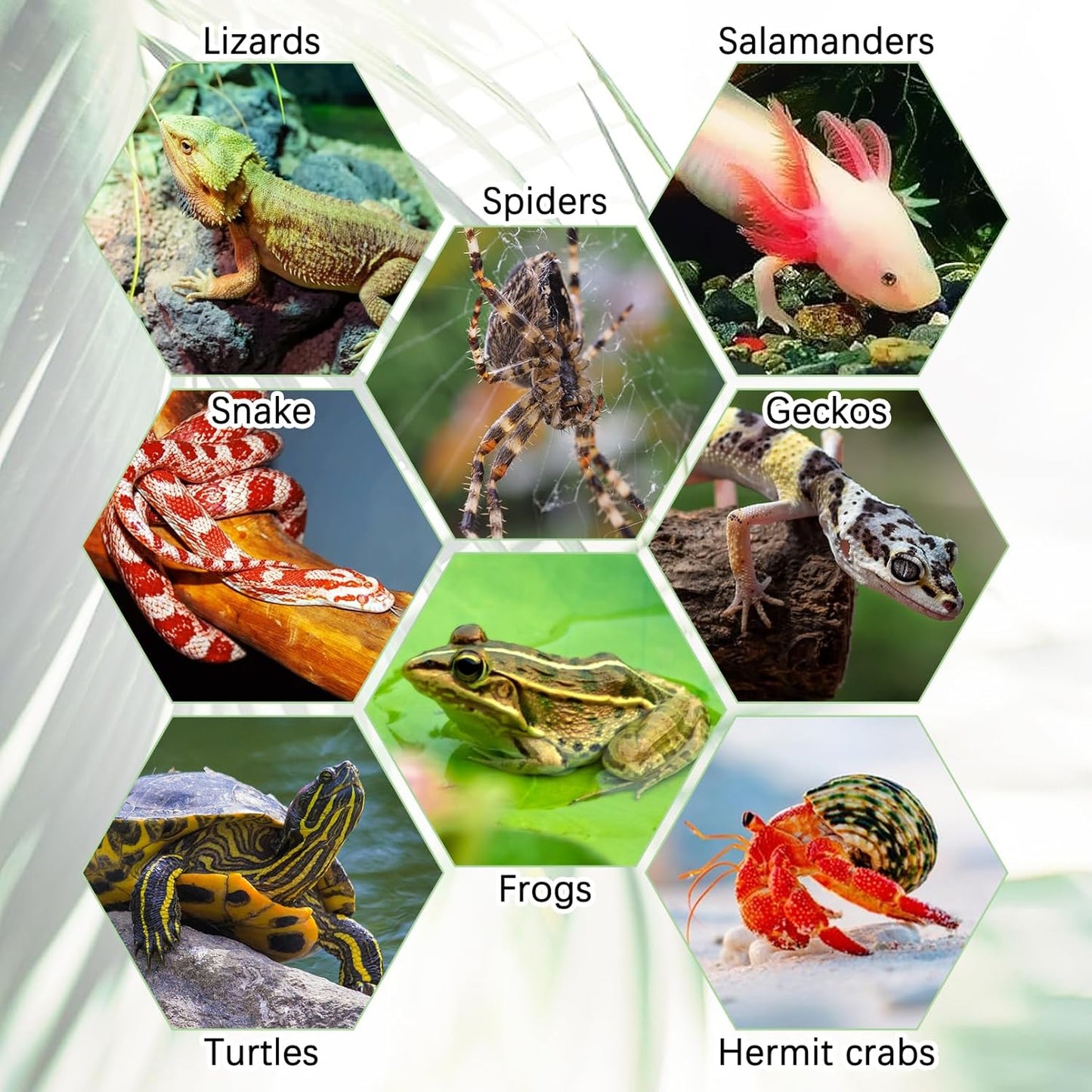 Hamiledyi Reptile Hide Cave Resin Hollow Log Hideout with 2pcs Powerful Suction Cup, Plastic Plant Leaves Ornament Snake Hide Hermit Crab Climbing Toys for Gecko Lizard Hermit Crabs Frogs