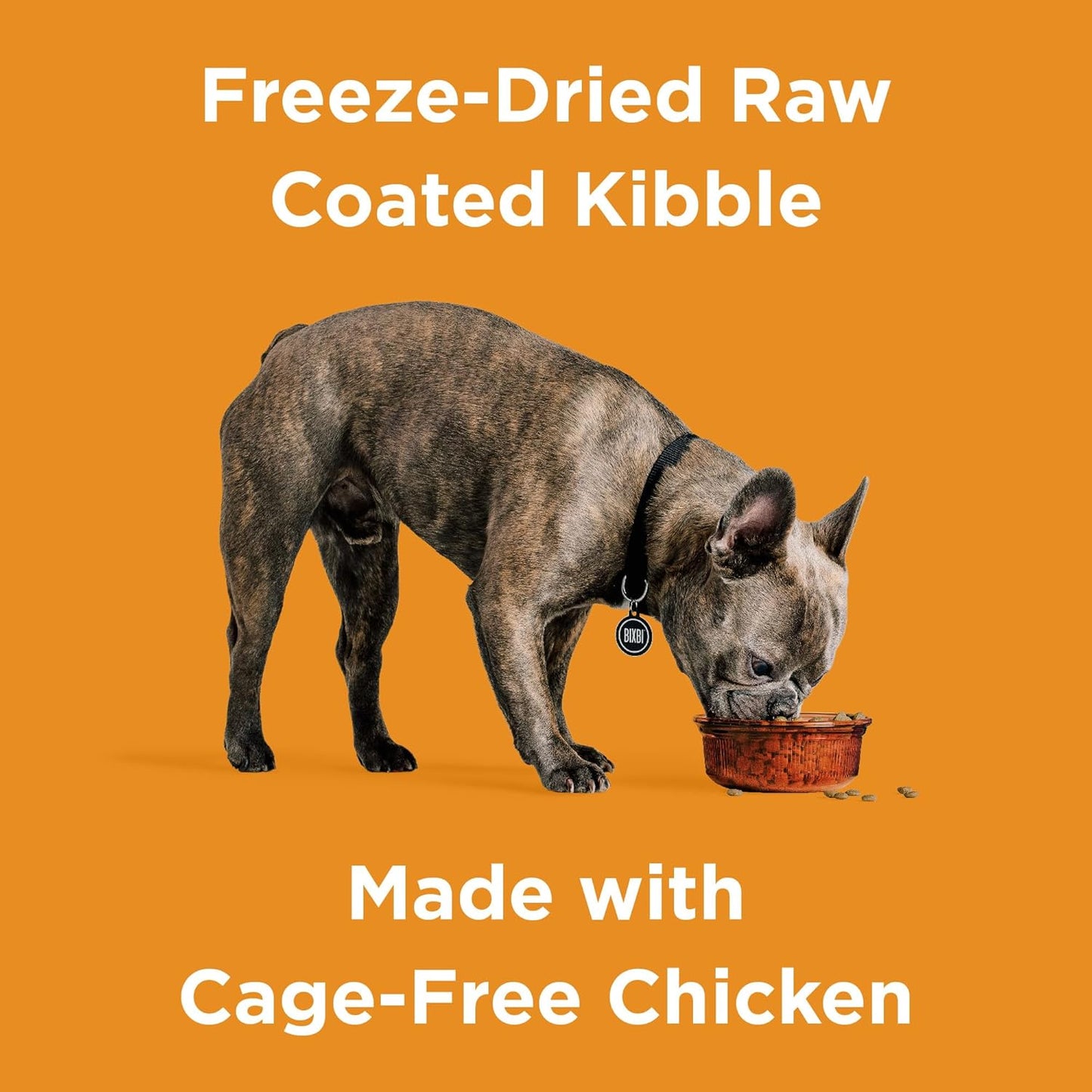 BIXBI Rawbble Dry Dog Food, Chicken, 24 lbs - USA Made with Fresh Meat - No Meat Meal & No Corn, Soy or Wheat - Freeze Dried Raw Coated Dog Food - Minimally Processed for Superior Digestibility