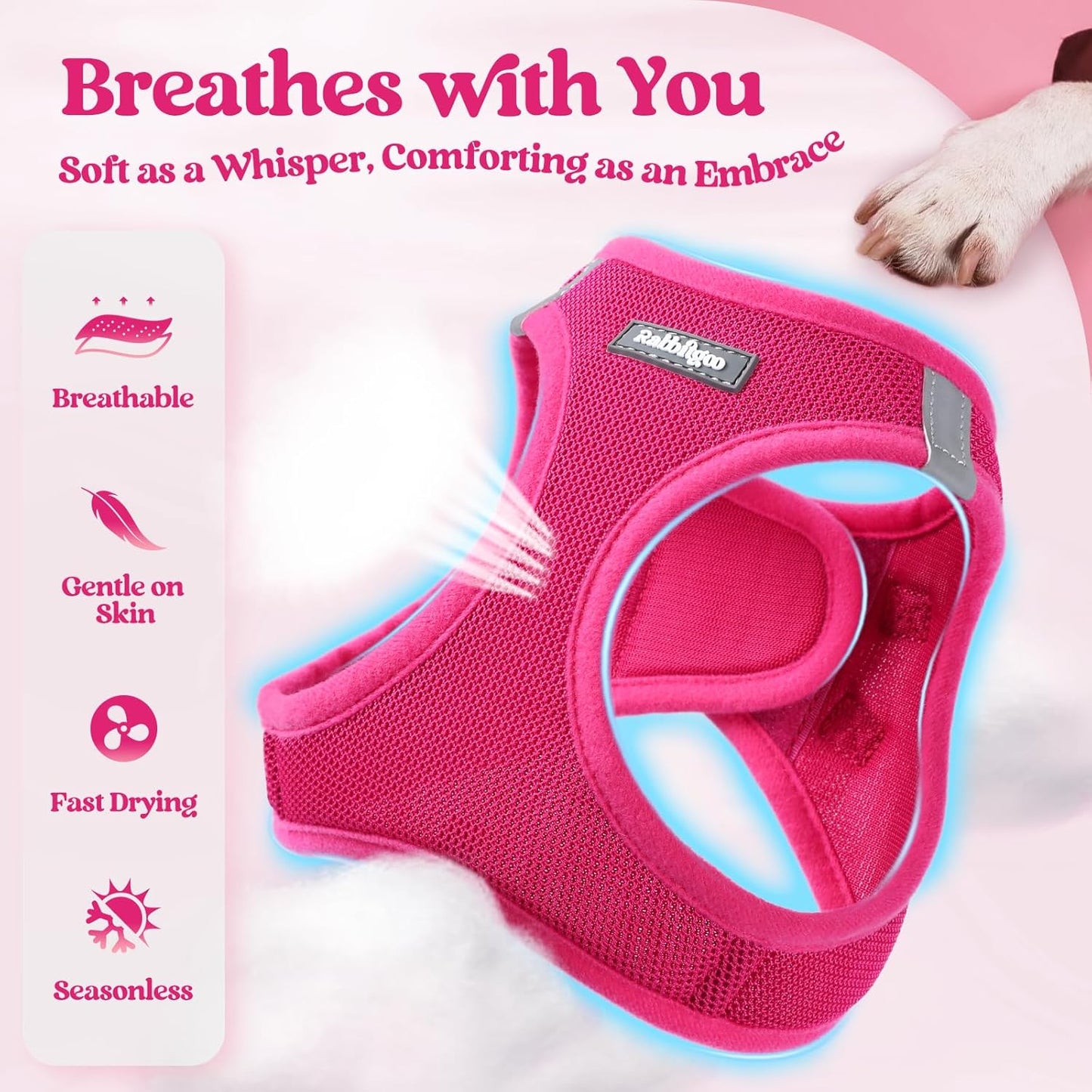 rabbitgoo Dog Harness Small Sized and Leash Set, Step in Soft Light Puppy Vest, Breathable Mesh Pet Harness, Reflective for Safe Easy Walking, Rose Red XXS