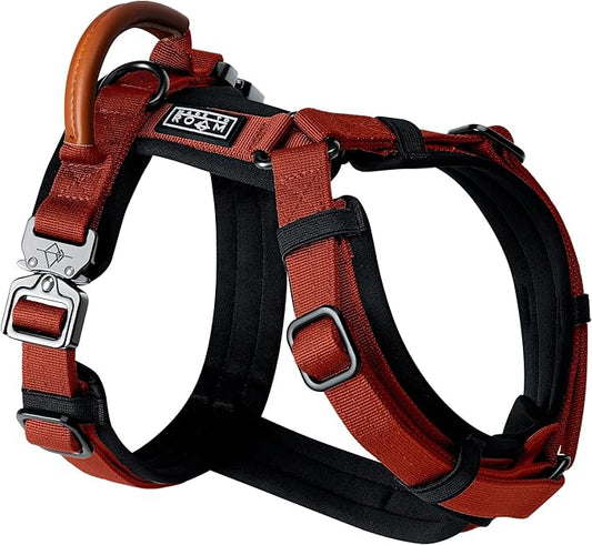 MADE TO ROAM Premium Explorer Harness - Y-Shaped Dog Harness with Adjustable Durable Nylon, Soft Padding, Metal Buckles and Leather Handle for Small, Medium, Large Dogs (Texas Flair, Size 4)