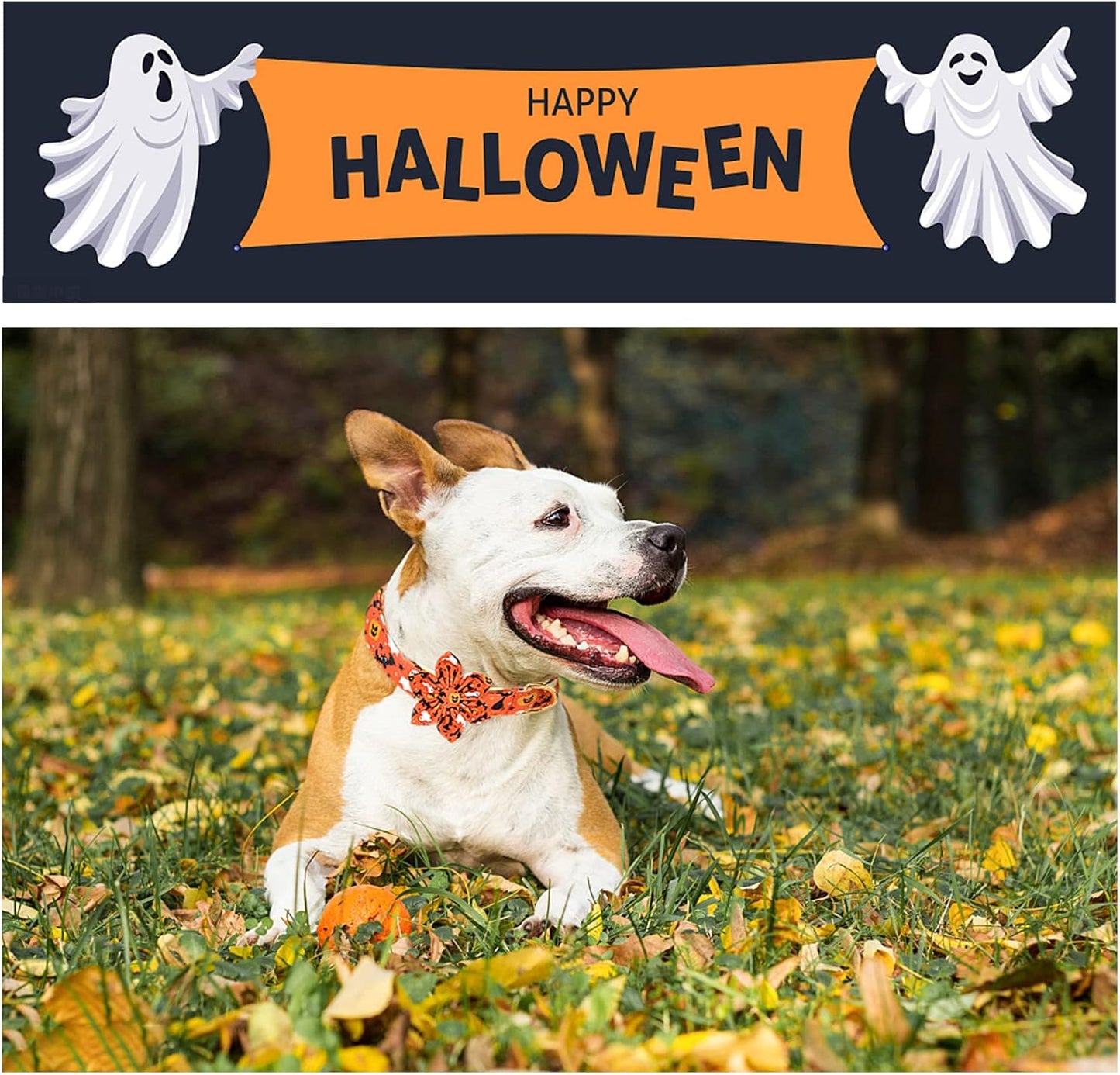 Unique style paws Halloween Dog Collar with Flower Tie Cotton Adjustable Puppy Collar for Small Medium Large Dogs-M