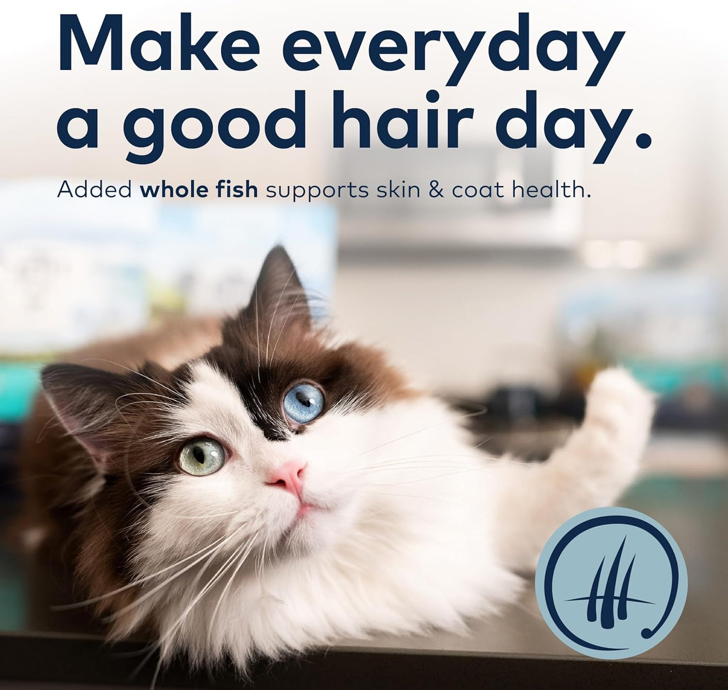 ZIWI Peak Steam & Dried Cat Food – Beef w/Southern Blue Whiting Fish - High Protein, Skin & Coat Health, Low Carb, for All Life Stages (78.4oz)