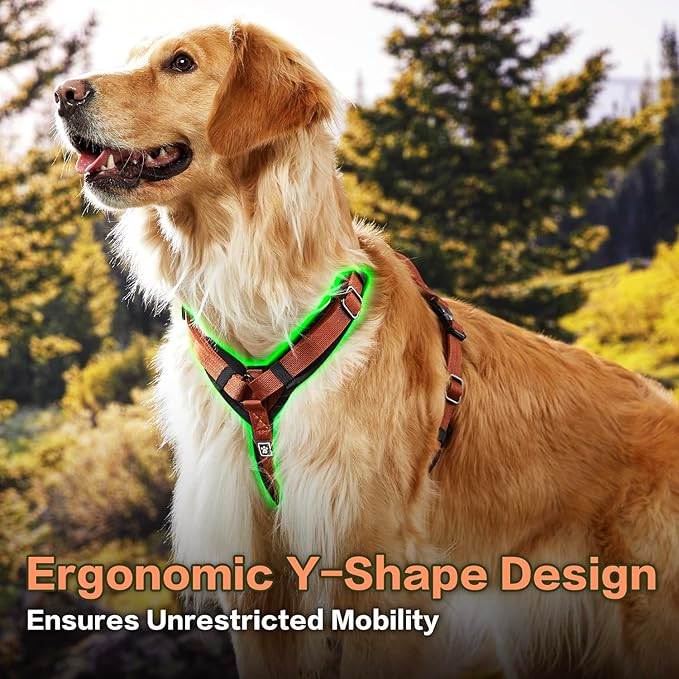 CLEPAWS Dog Harness for Small Dogs, No Pull Dog Harness Easy Walk with Metal Hardware, Ergonomic Y-Shaped Design, Soft Padding, Padded Handle, Durable High-Tensile Nylon (Canyon Red, S)