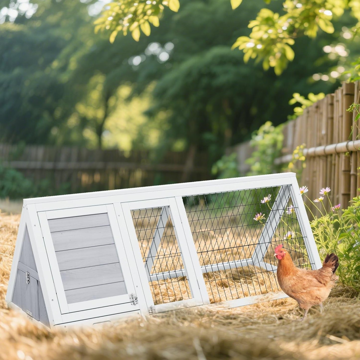 Quail Cages,Wooden Chicken Coop,Nesting Boxes for Chickens,Brooder Box Indoor Outdoor,A-Frame Poultry Duck House with Ventilating Wire Rabbit Hutch for Small Animals,Sold by Zyphorinth (Grey)