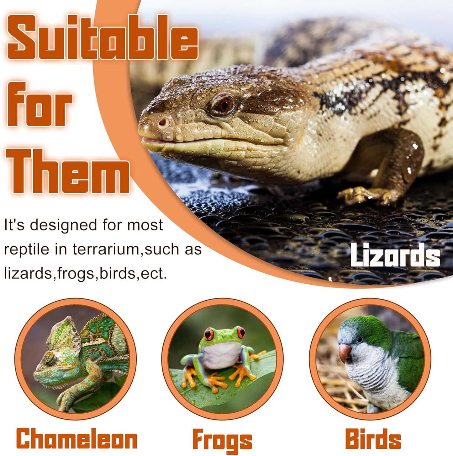 Reptile Corner Hunting Bowl - Glass Mount Insect Feeding Box for Reptile with Suction Cup which is Super Tight, Green, 4.72 inch - S Size