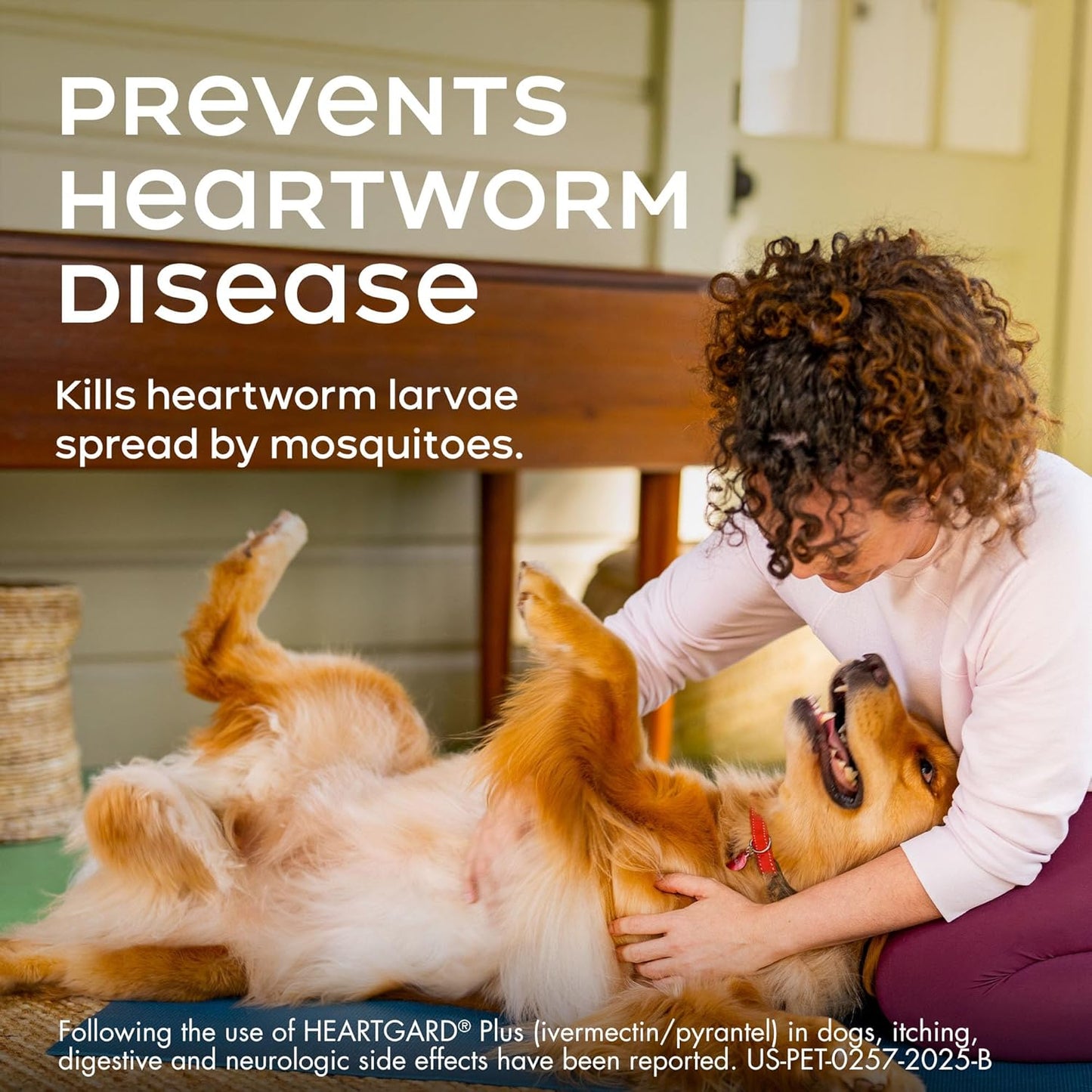 HEARTGARD® Plus (ivermectin/pyrantel) Real-Beef Chewables for Dogs 26-50 lbs (Green Box) 6 Month Supply of Chews (Heartworm Disease Preventive)