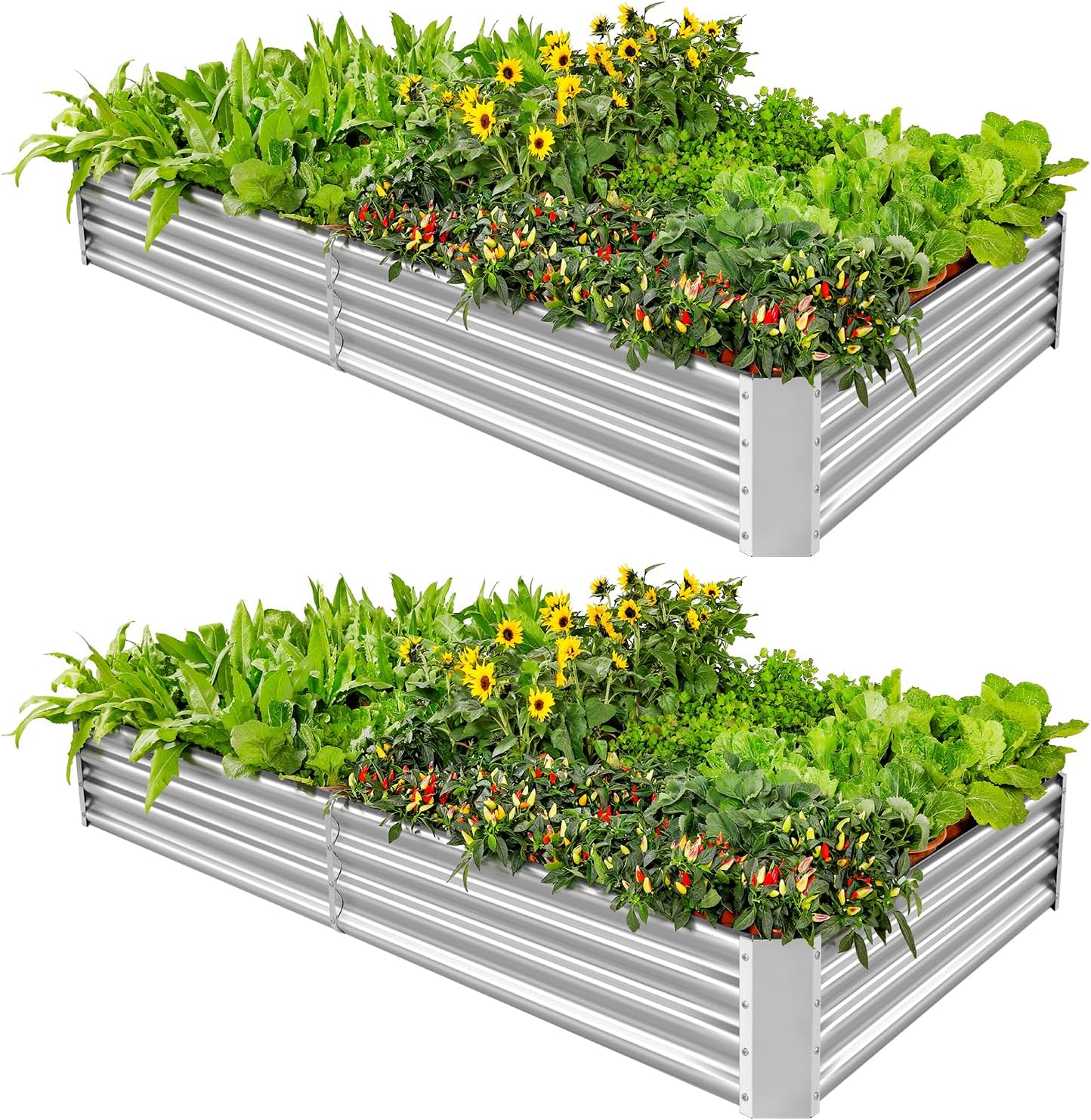 Land Guard 2 Pack 6×3×1ft Galvanized Metal Raised Garden Bed, Metal Planter Kit Box Outdoor for Deep-Rooted Vegetables, Flowers, Green and Herbs……
