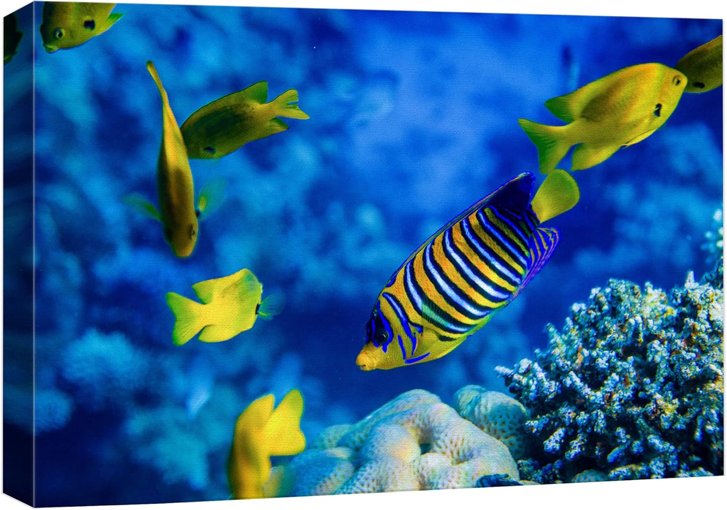wall26 Canvas Print Wall Art Striped Yellow Tropical Fish Coral Reef Sea Nature Animals Photography Realism Rustic Scenic Landscape Wilderness Colorful for Living Room, Bedroom, Office - 24"x36"