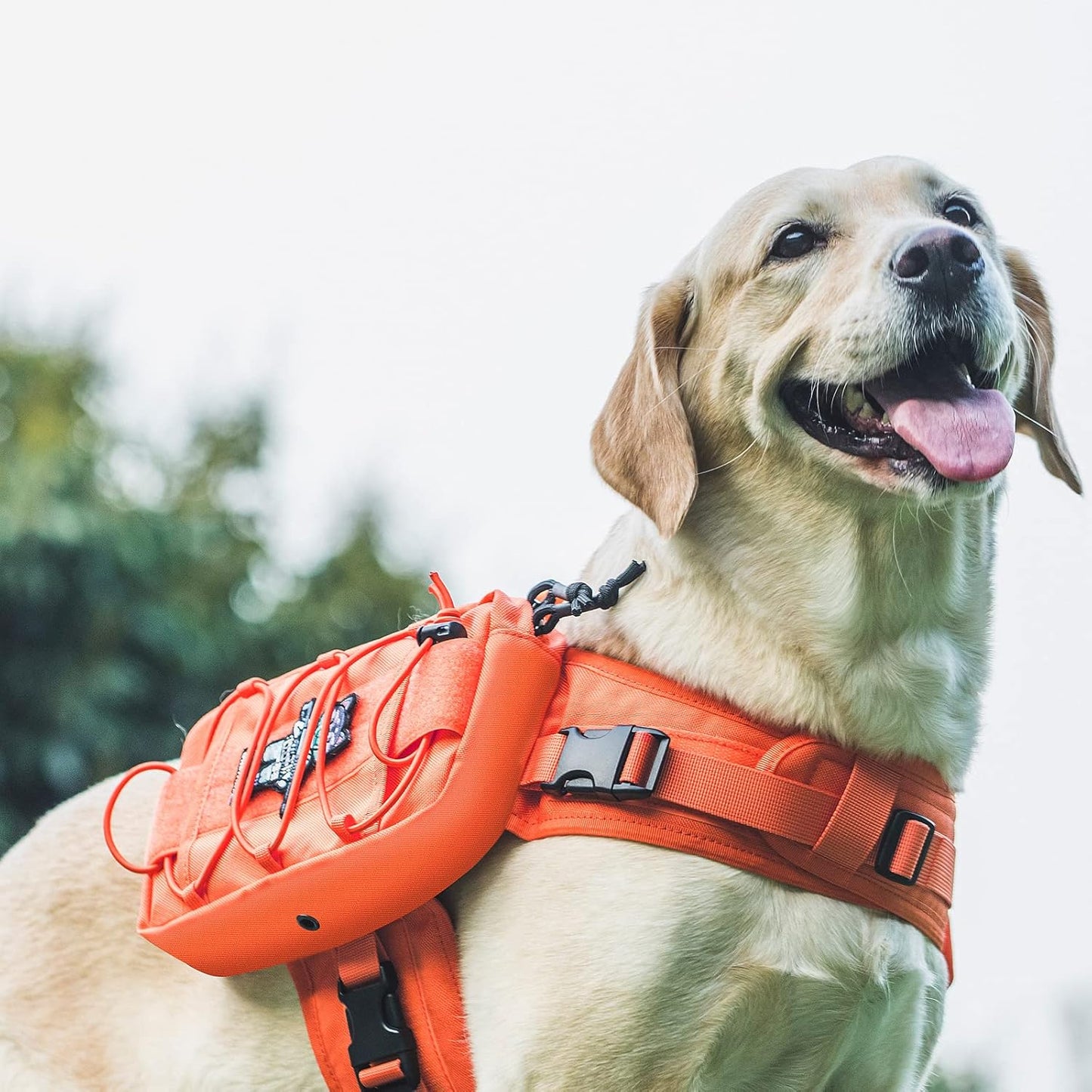 OneTigris Dog Backpack for Medium & Large Dogs, Mammoth Nylon Dog Pack Tactical Backpack Harness with Side Pockets for Hiking Walking Training Running