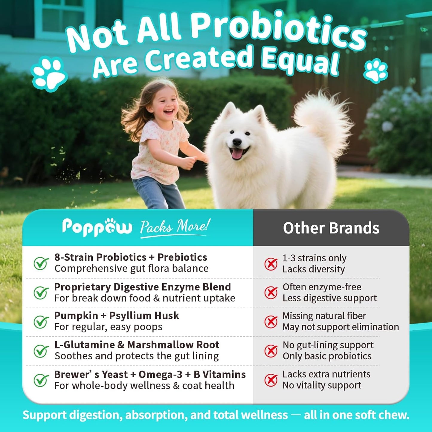 Probiotics for Dogs, Digestive Enzymes for Gut Health Support, Dog Fiber Supplement with Pumpkin for Diarrhea & Bowel Support, Upset Stomach & Gas Relief, Constipation - 90 Count Beef Flavor