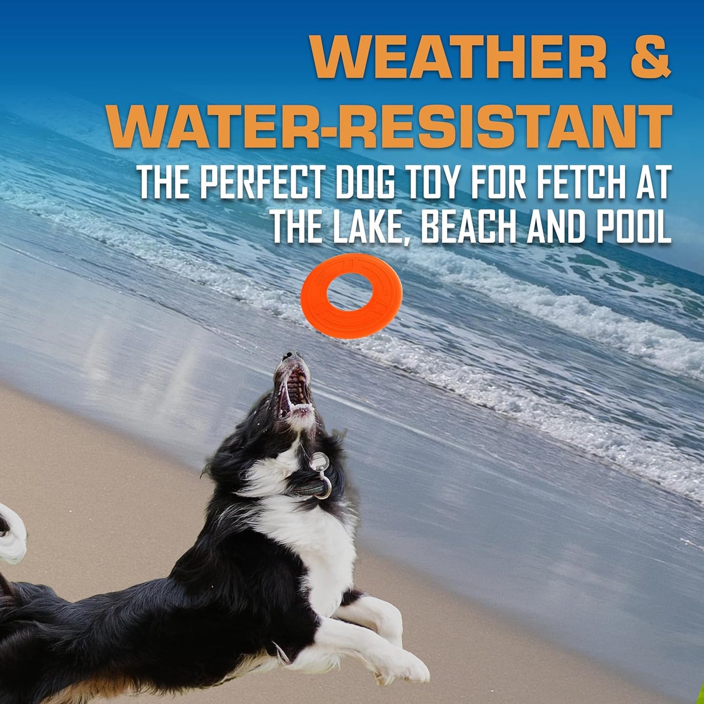 Nerf Dog Atomic Flyer Outdoor Dog Toy, 10 Inch Flying Disc Dog Fetch Toy, Rubber Dog Toy for Medium Dogs and Large Dogs, Orange